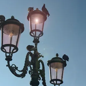 Luxhaven Venice Bed & Breakfast